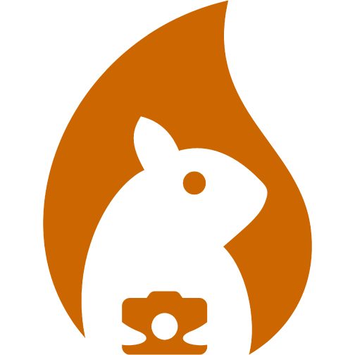 Salisbury Picture Company Logo